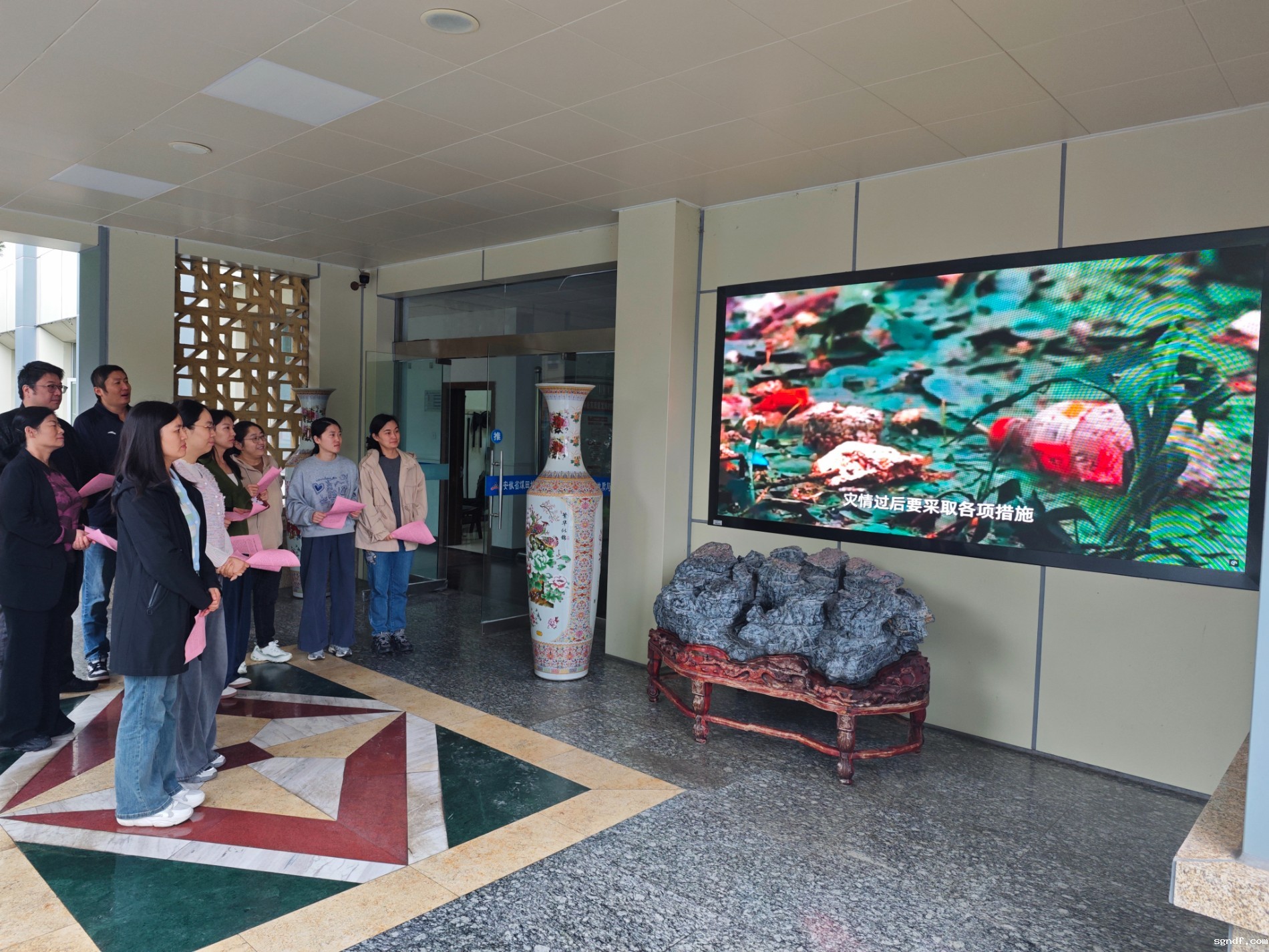 IMG_20251013_102901.jpg IMG_20251013_102901.jpg