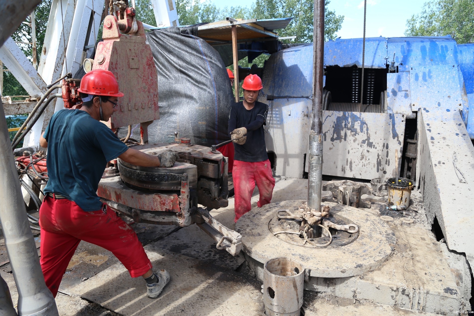 IMG_8875.JPG IMG_8875.JPG