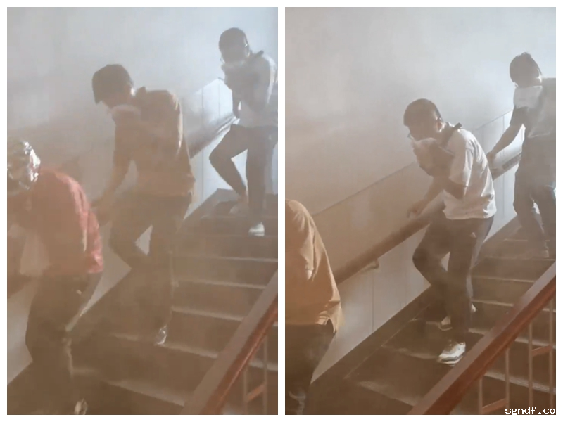 图片13.png 图片13.png